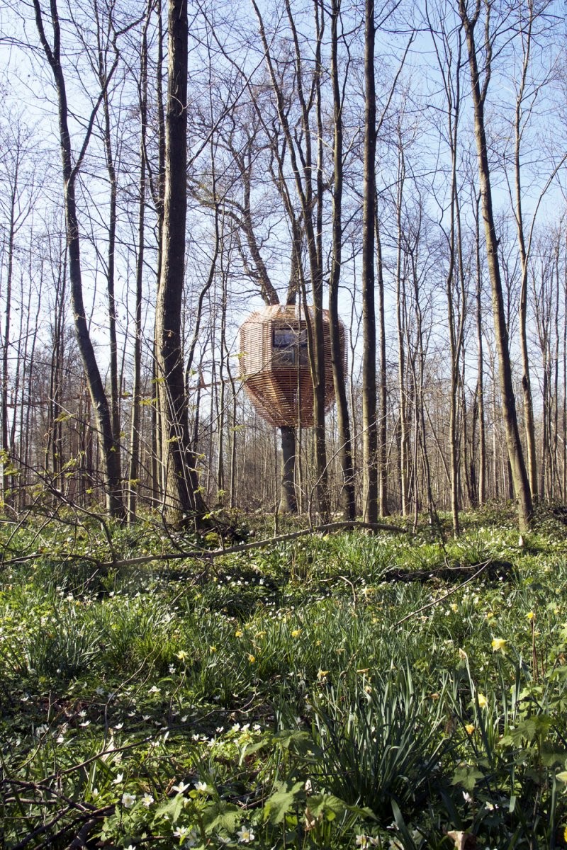 Домик на дереве вашей мечты - фото 12
