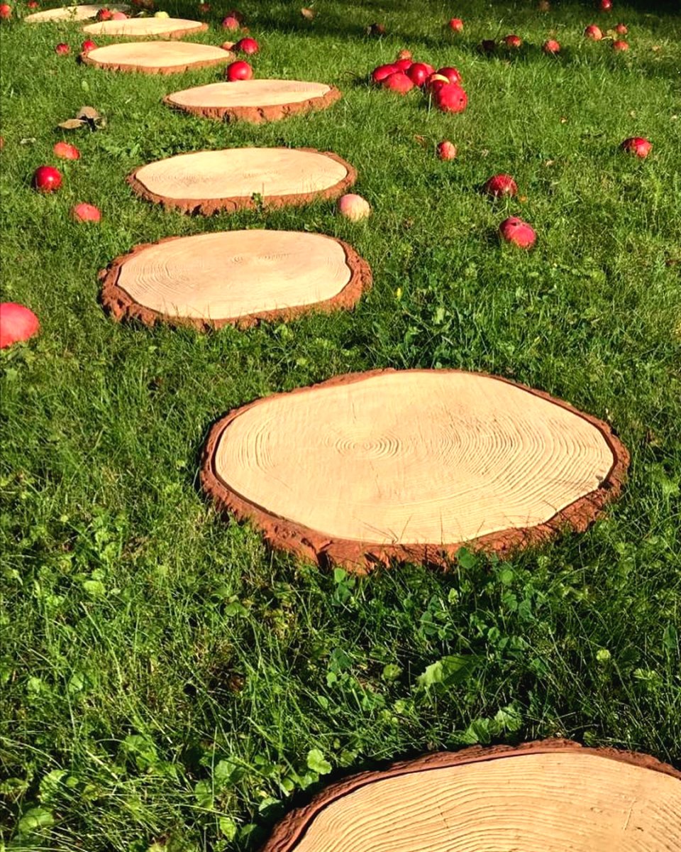 Интересная садовая дорошка - фото 2