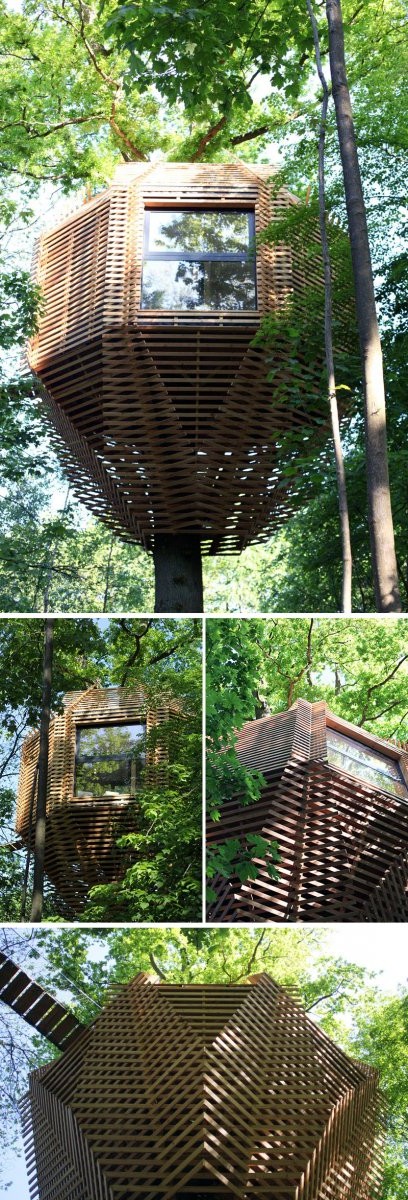 Домик на дереве вашей мечты - фото 2