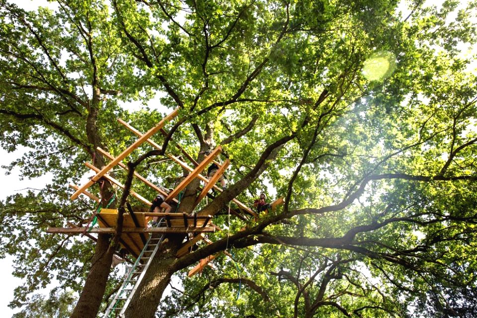 Оригинальный домик на дереве - фото 7