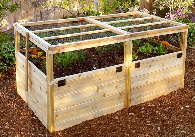 Необычная высокая грядка  - фото 3