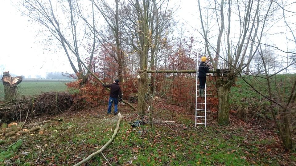 Сауна в форме геодезического купола - фото 21