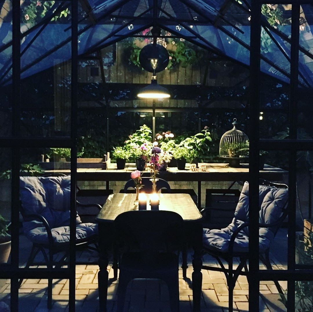 Розы в овощном саду - фото 9