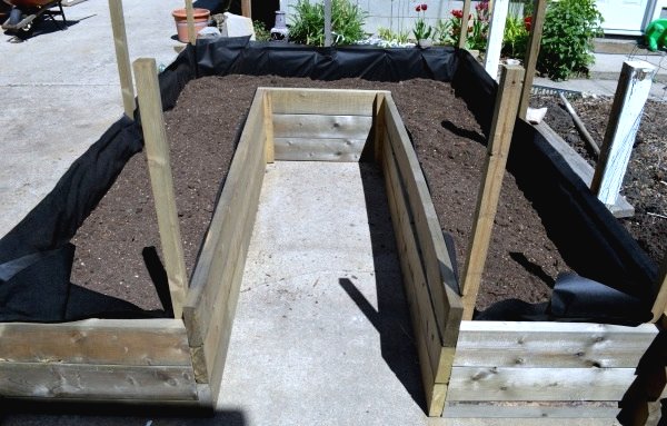 Высокая грядка из старых окон - фото 6