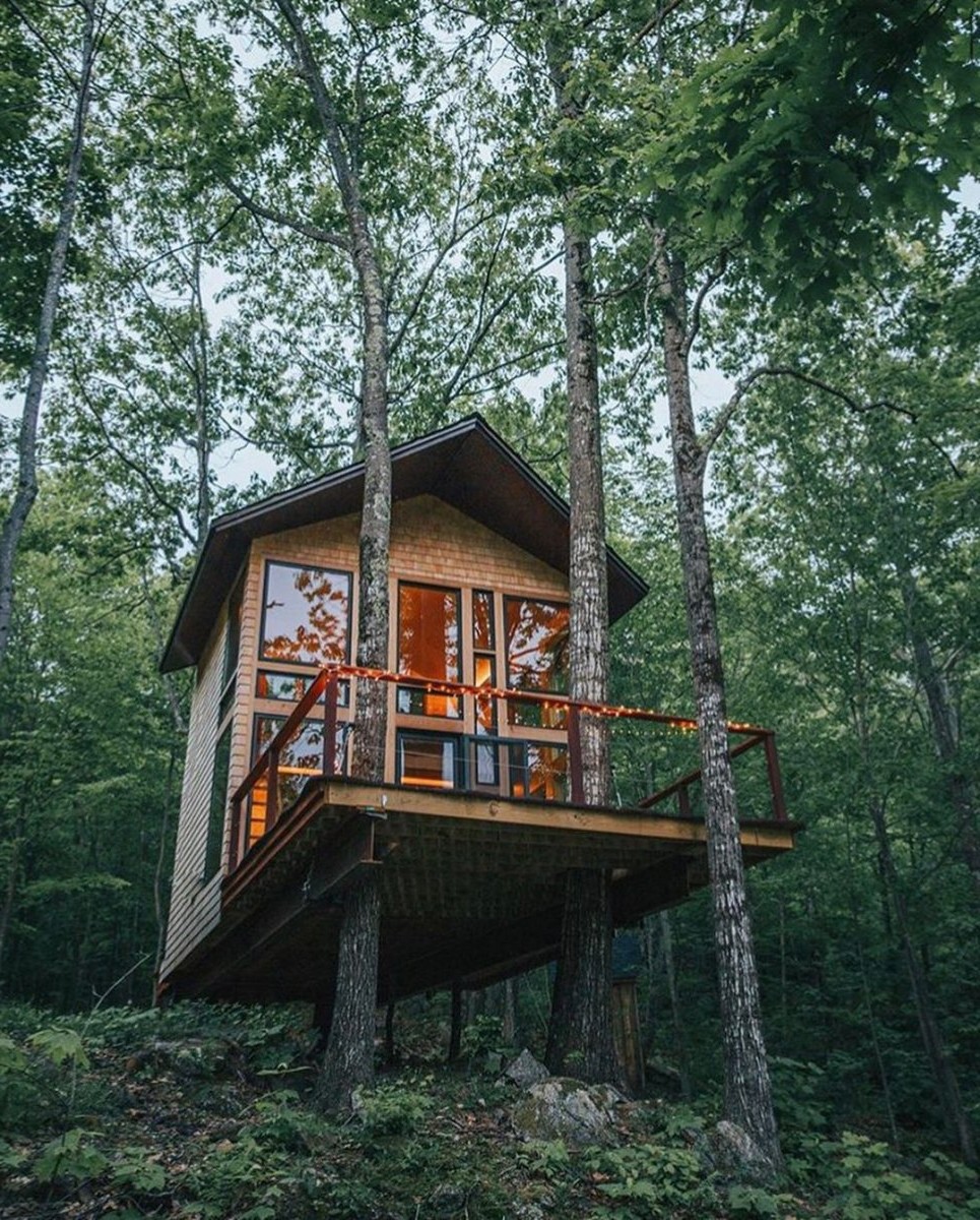Дом на дереве - фото 15