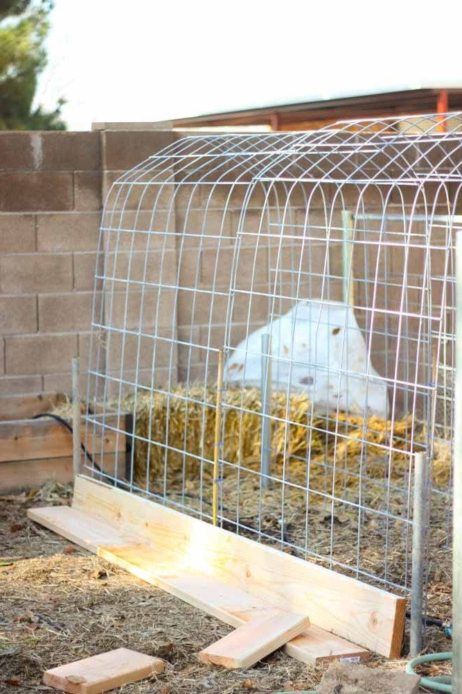 Высокая грядка для огурцов - фото 3