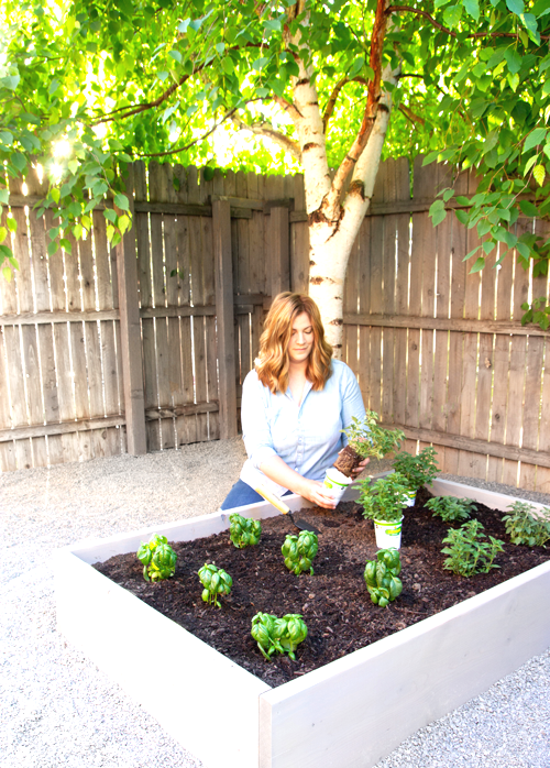 Облагораживаем участок - фото 2