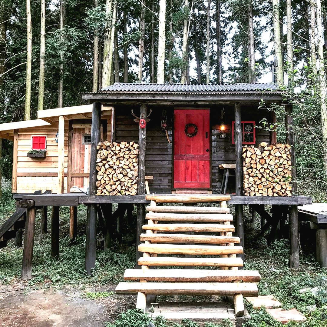 Хижина в лесу на деревянных столбах - фото 2