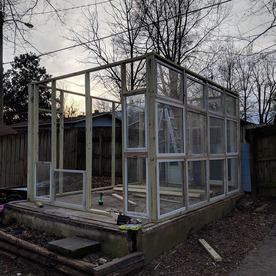 Удивительная оранжерея - фото 4