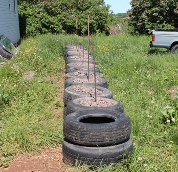 Парник - фото 3