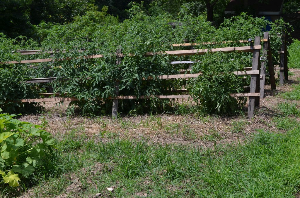 Деревянная шпалера из поддонов - фото 3