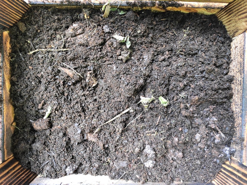 Мобильный вертикальный сад из ящиков - фото 11