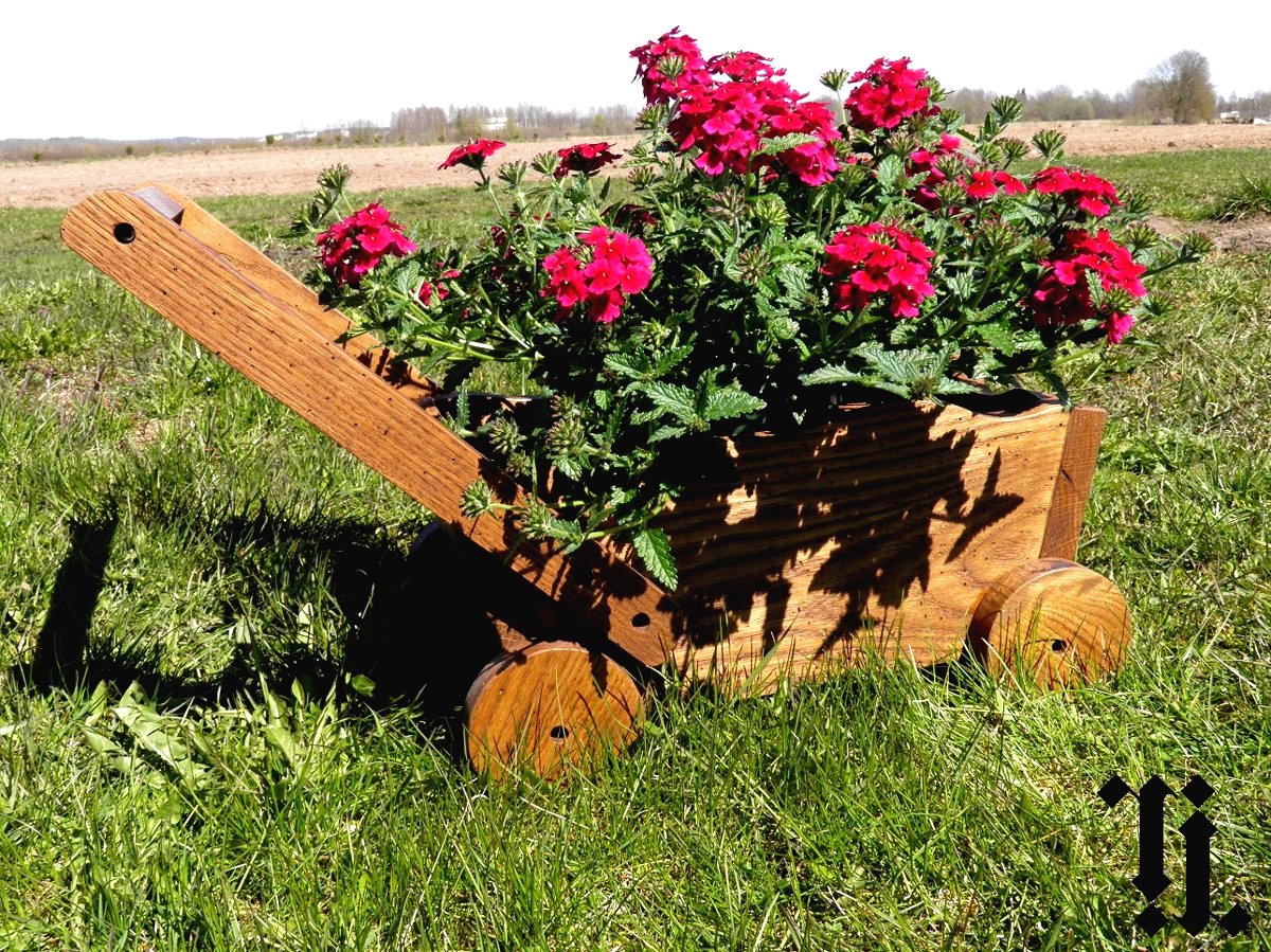 Оригинальные клумбы - фото 4