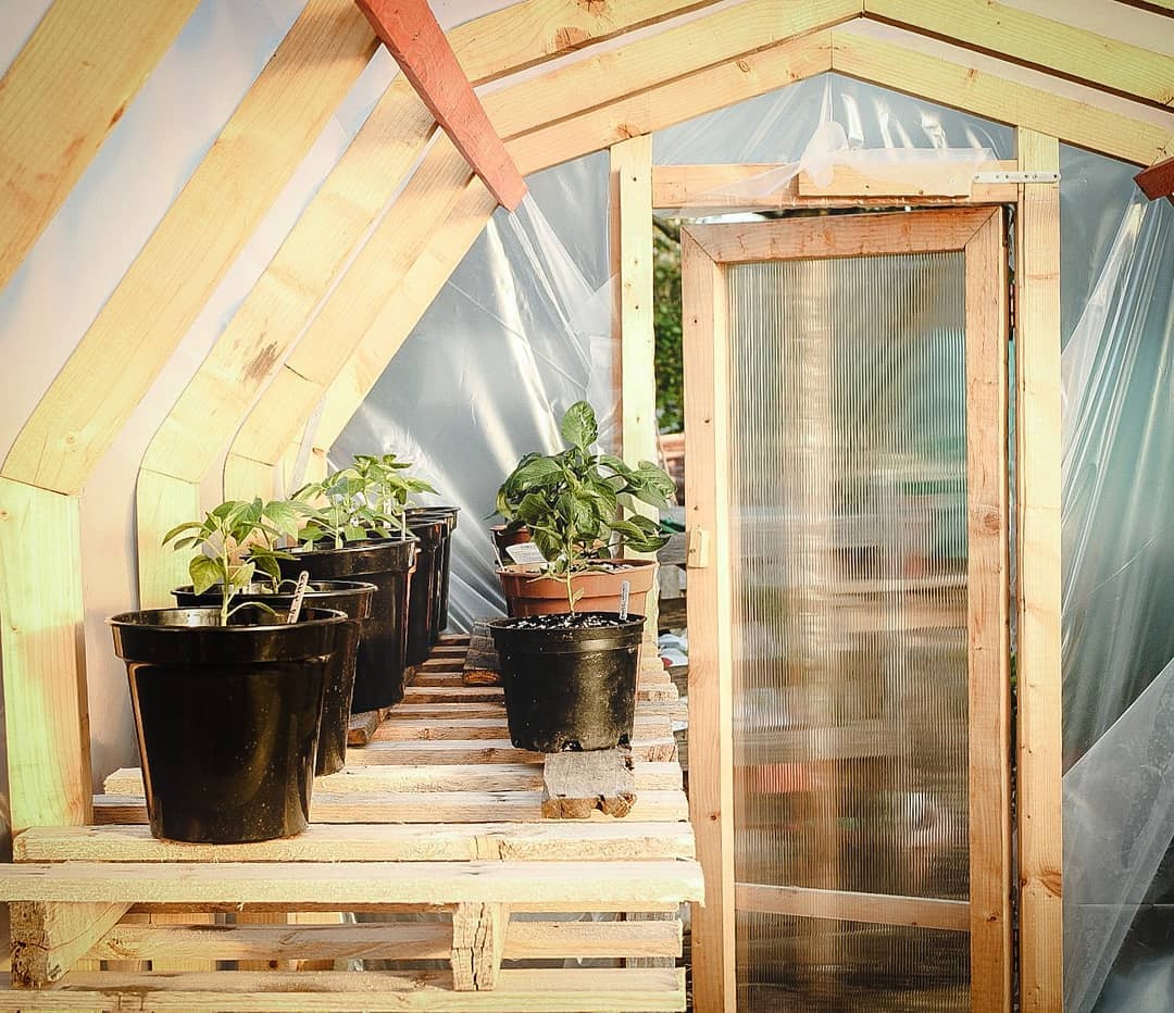 Теплица - фото 2