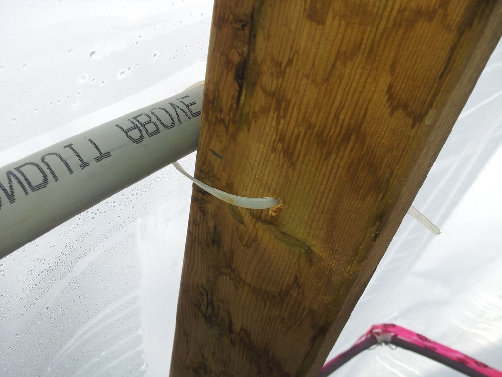 Теплица для Севера - фото 10