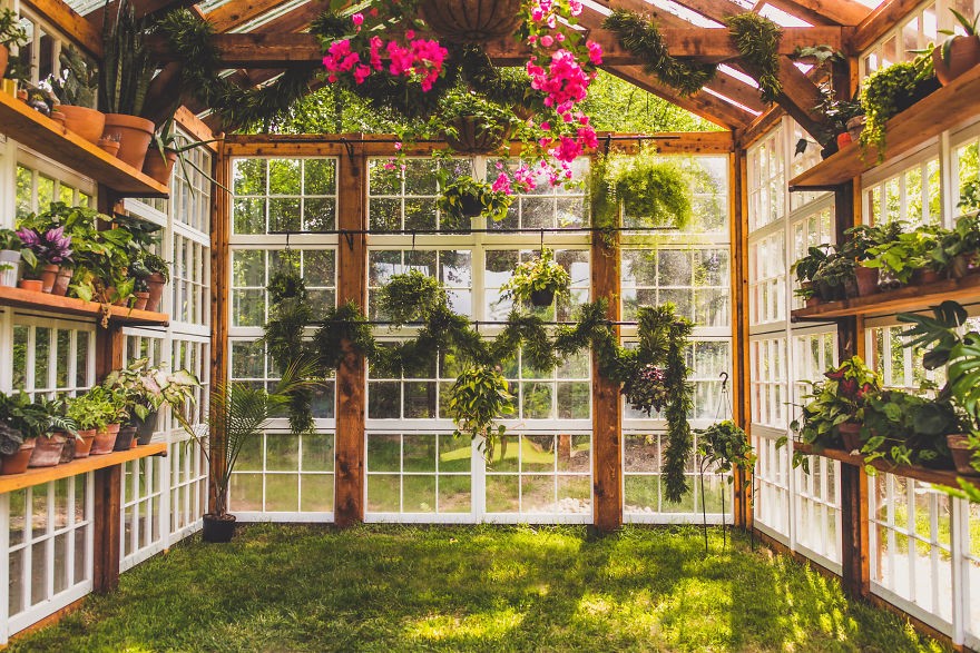 Удивительная оранжерея из старых окон - фото 25