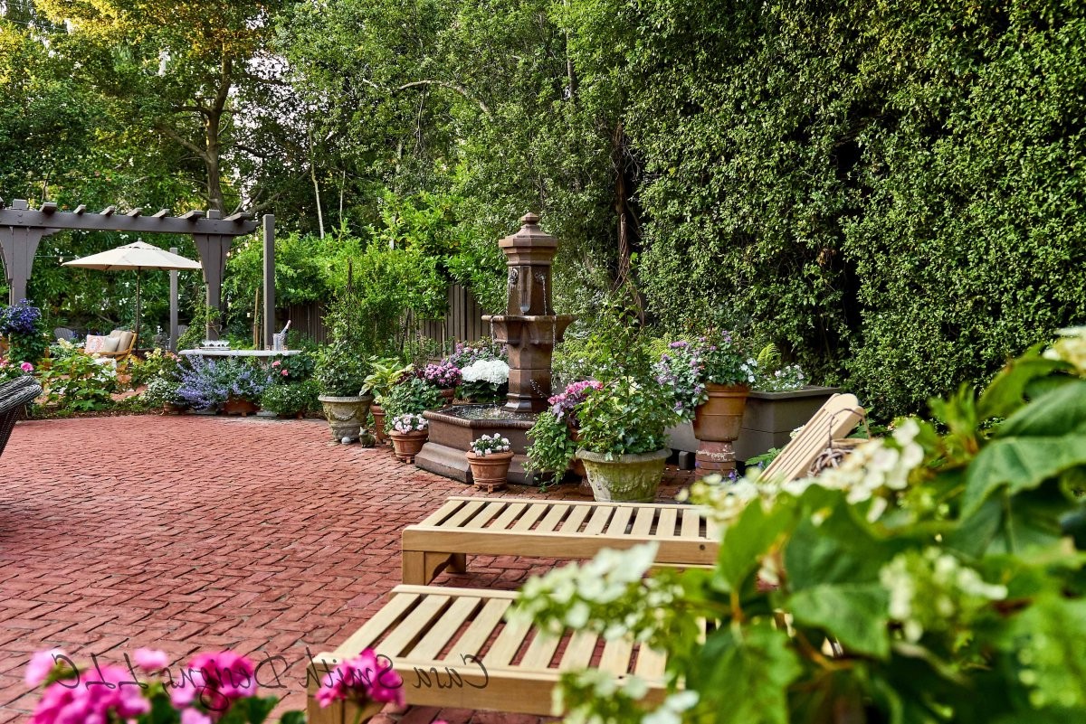 Удивительный сад - фото 13