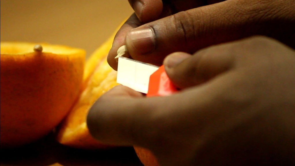 Как вырастить апельсиновое дерево из семян - фото 3