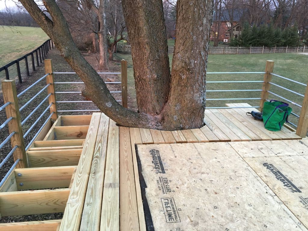 Крутой дом на дереве - фото 5