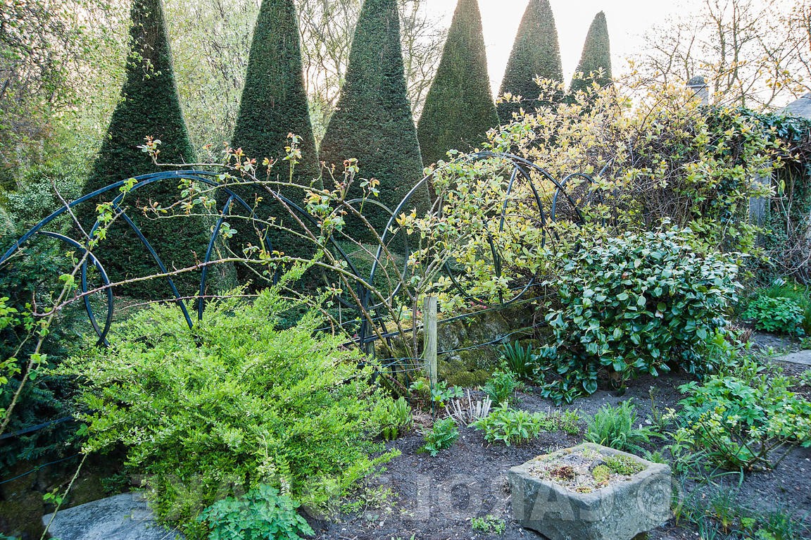 Йоркские ворота - дизайн сада - фото 10