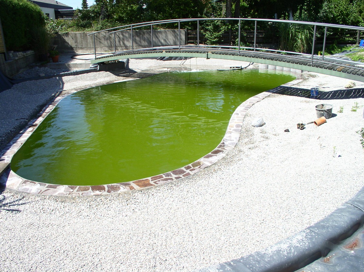 Пруд с мостом через него - фото 12