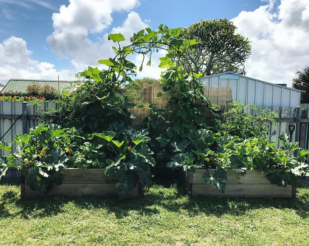 Арка для рассады - фото 3