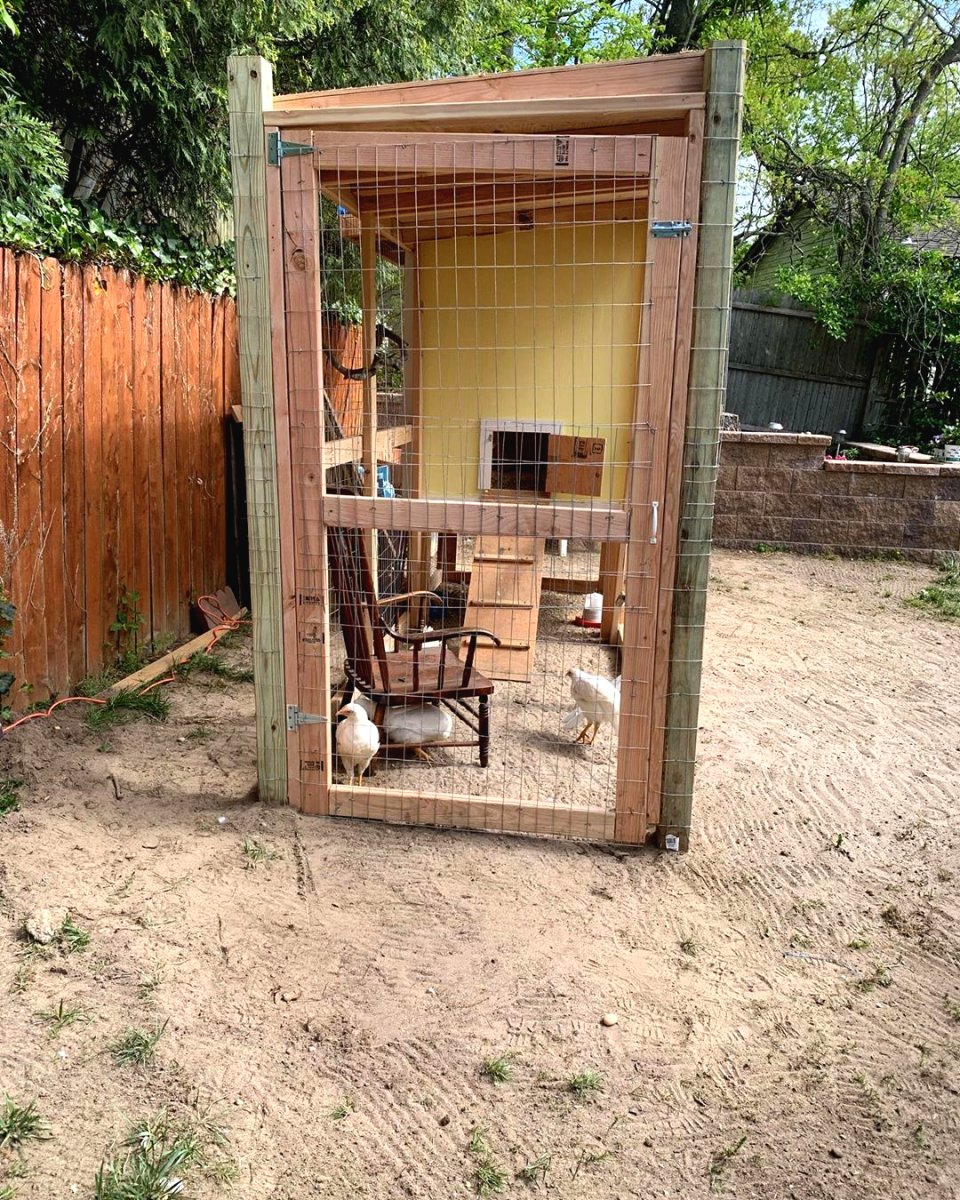 Летний курятник своими руками на даче - фото 5