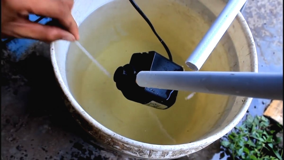 Гидропоника из пластиковых бутылок - фото 9