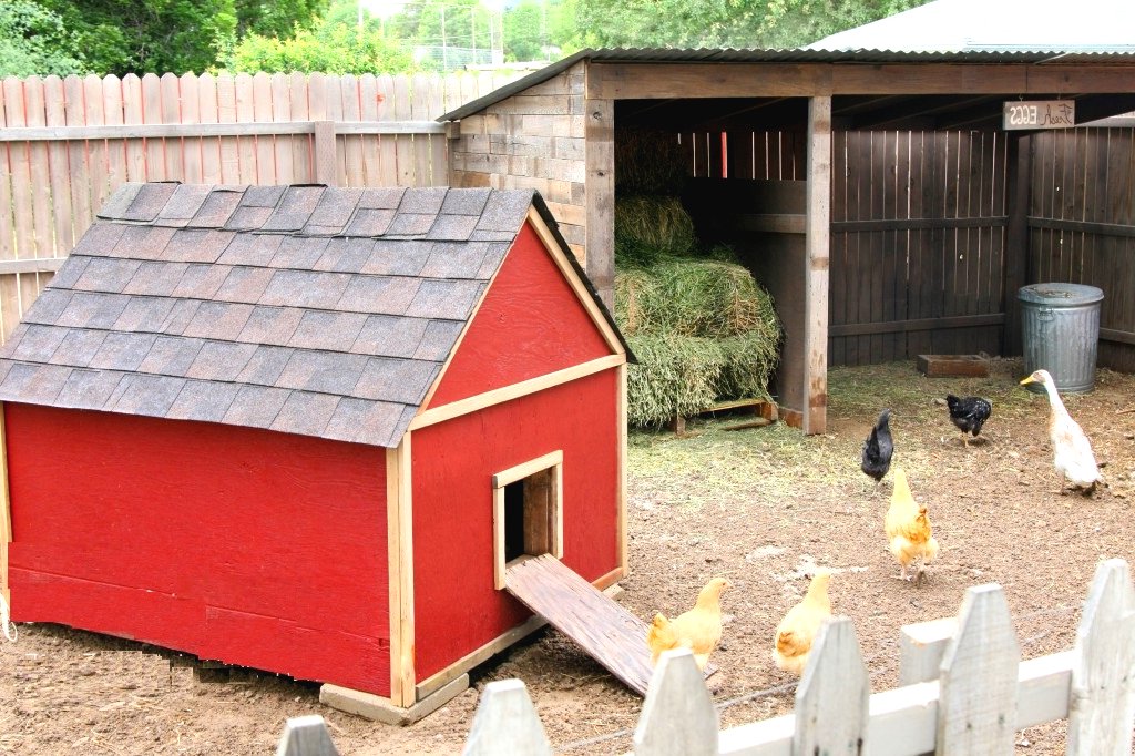 Небольшой курятник - фото 3