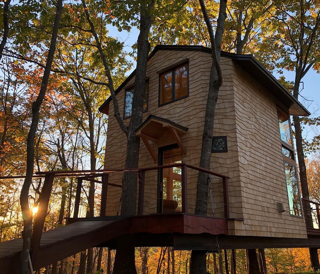 Дом на дереве - фото 14