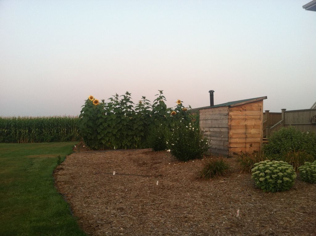 Сауна из подручных материалов  - фото 2