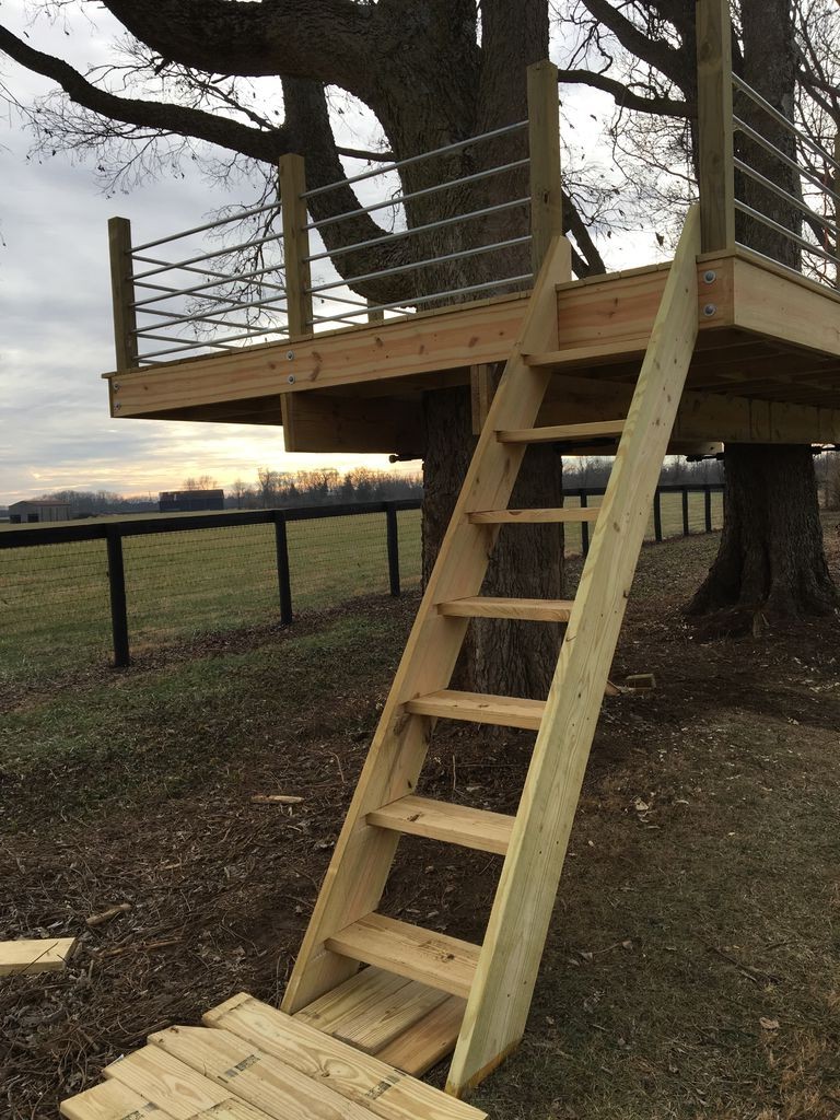 Крутой дом на дереве - фото 8