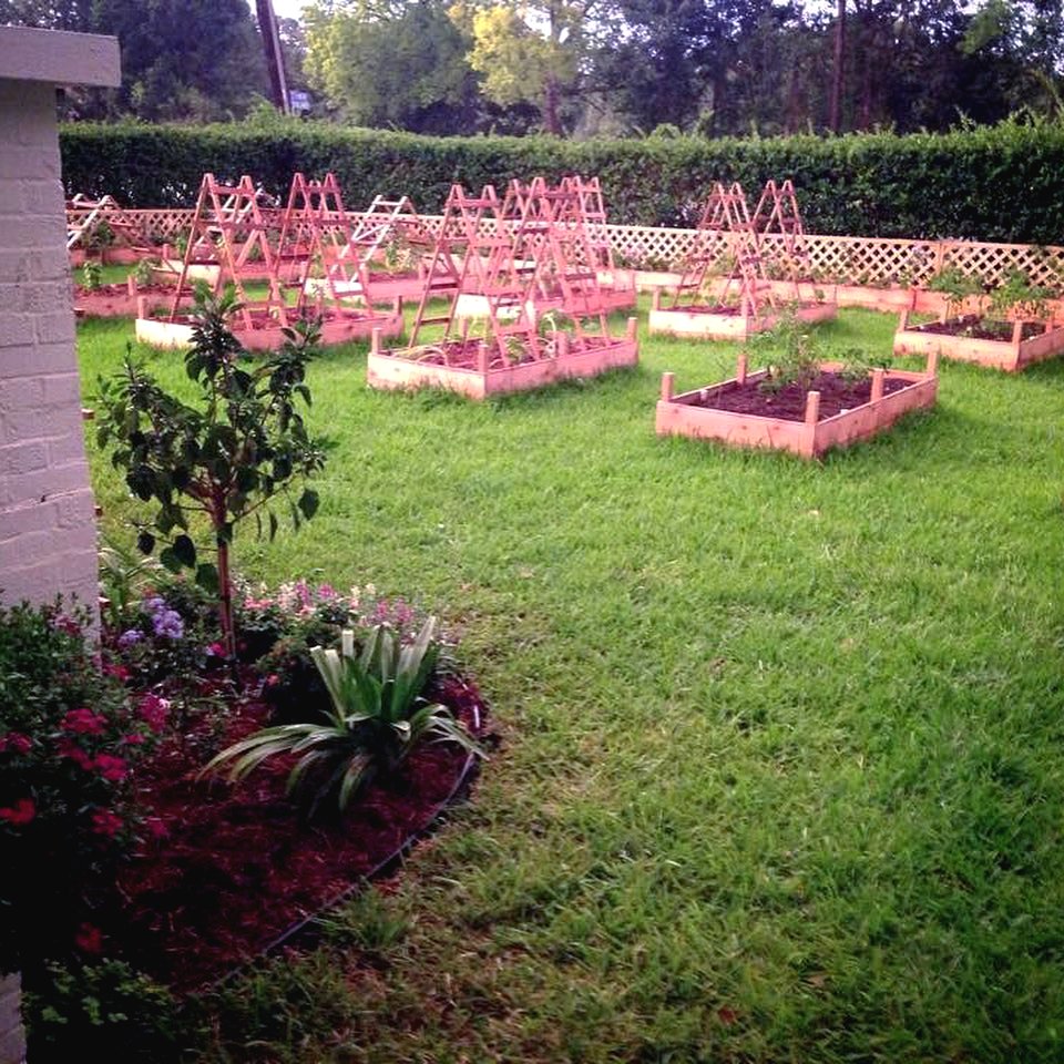 Необычная садовая дорожка для дачи - фото 2