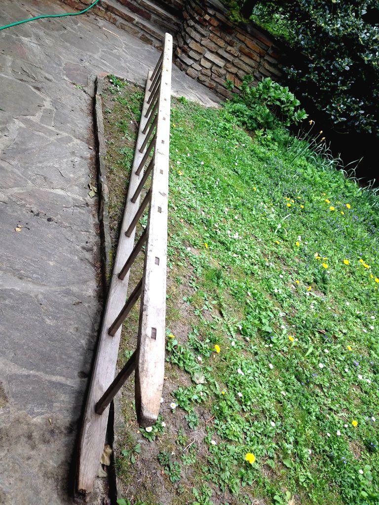 Шпалера из старой деревянной лестницы - фото 3