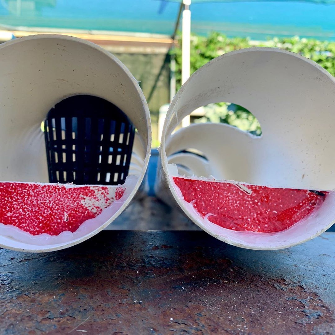 Гидропоника - фото 9