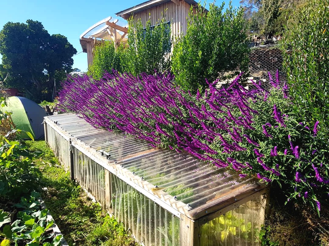 Небольшой парник из поликарбоата - фото 5