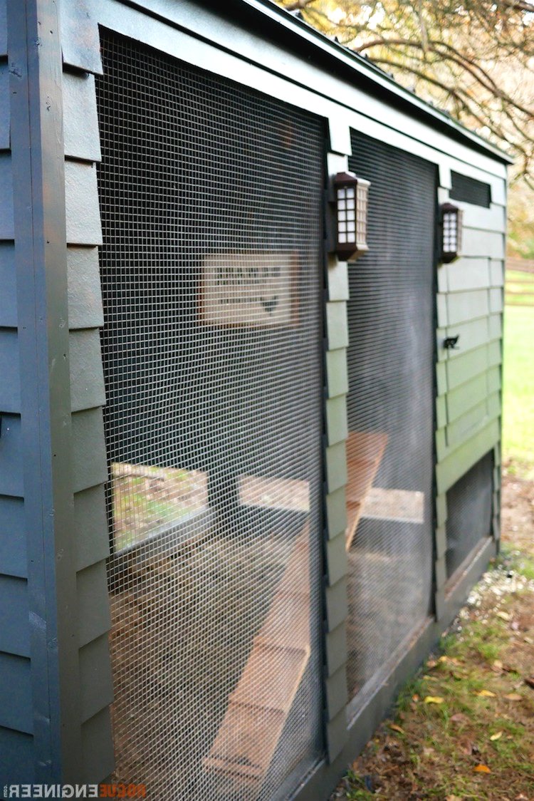 Курятник своими руками на 10 кур с выгулом - фото 3