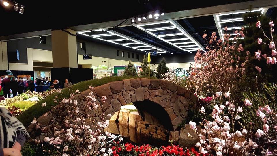 Пример ландшафтного дизайна небольшого участка - фото 6