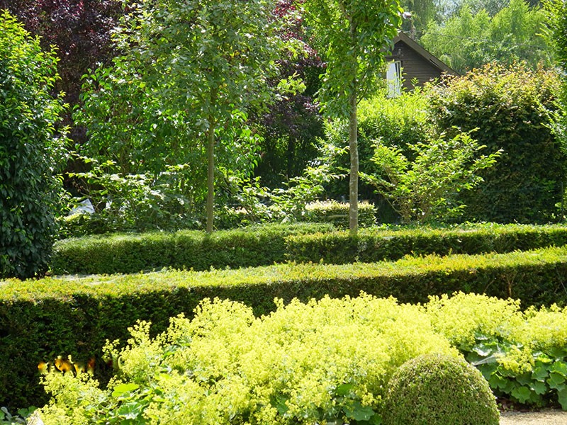 Естественный пруд - фото 12