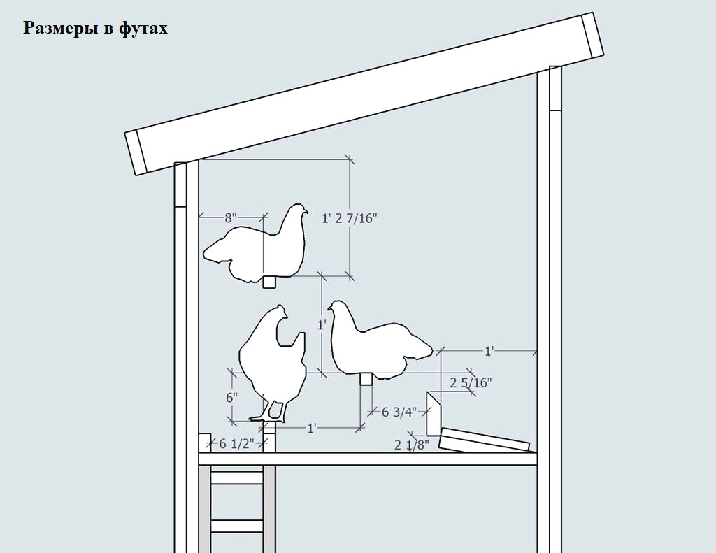 Схема курятника на 10 кур с размерами