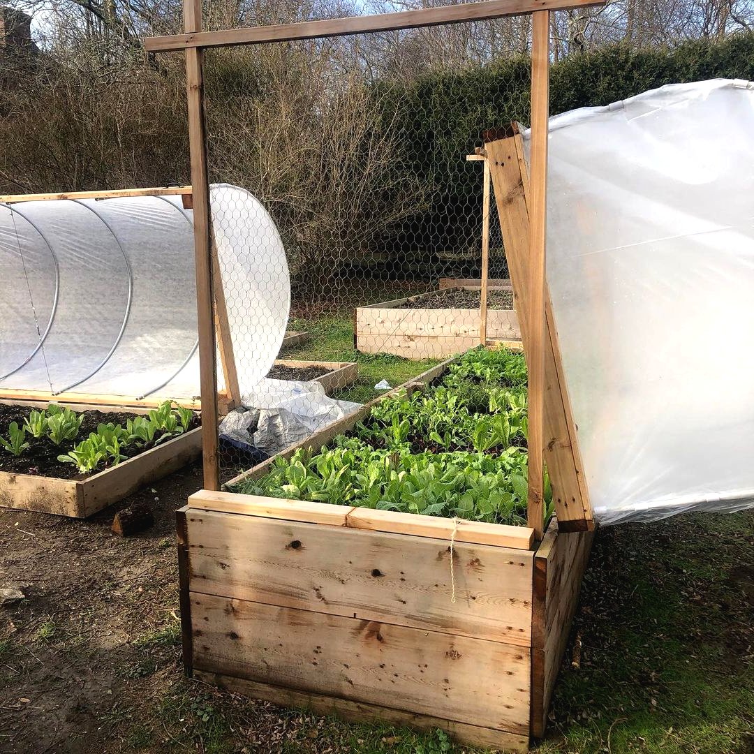 Парник из дерева и пластиковых труб. - фото 6