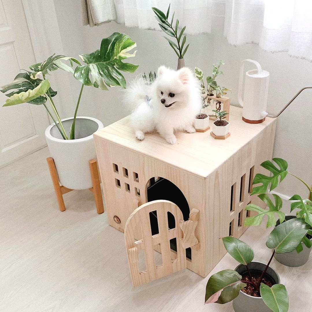 Необычные будки для собаки - фото 5