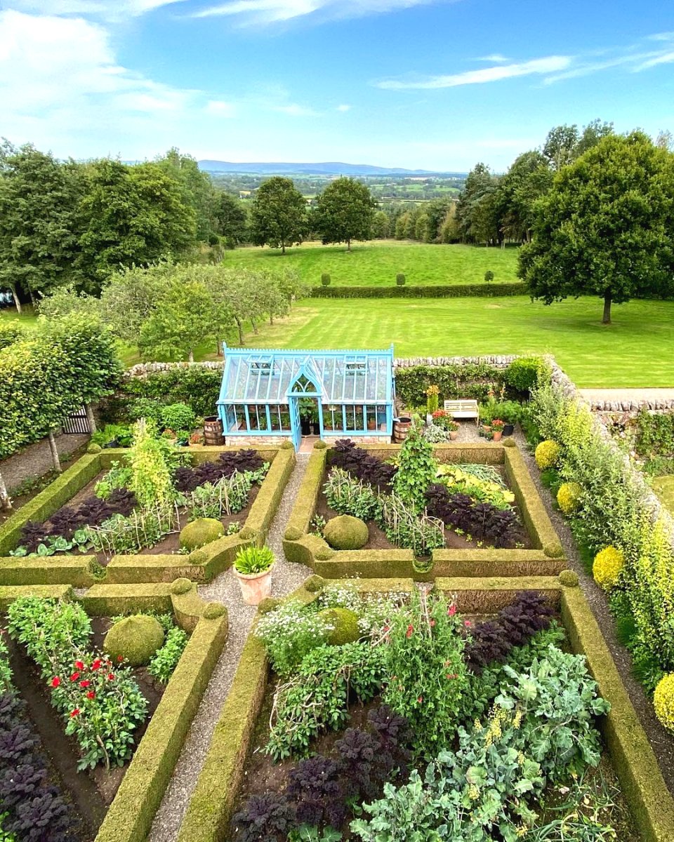 Топиарий в саду своими руками - фото 5