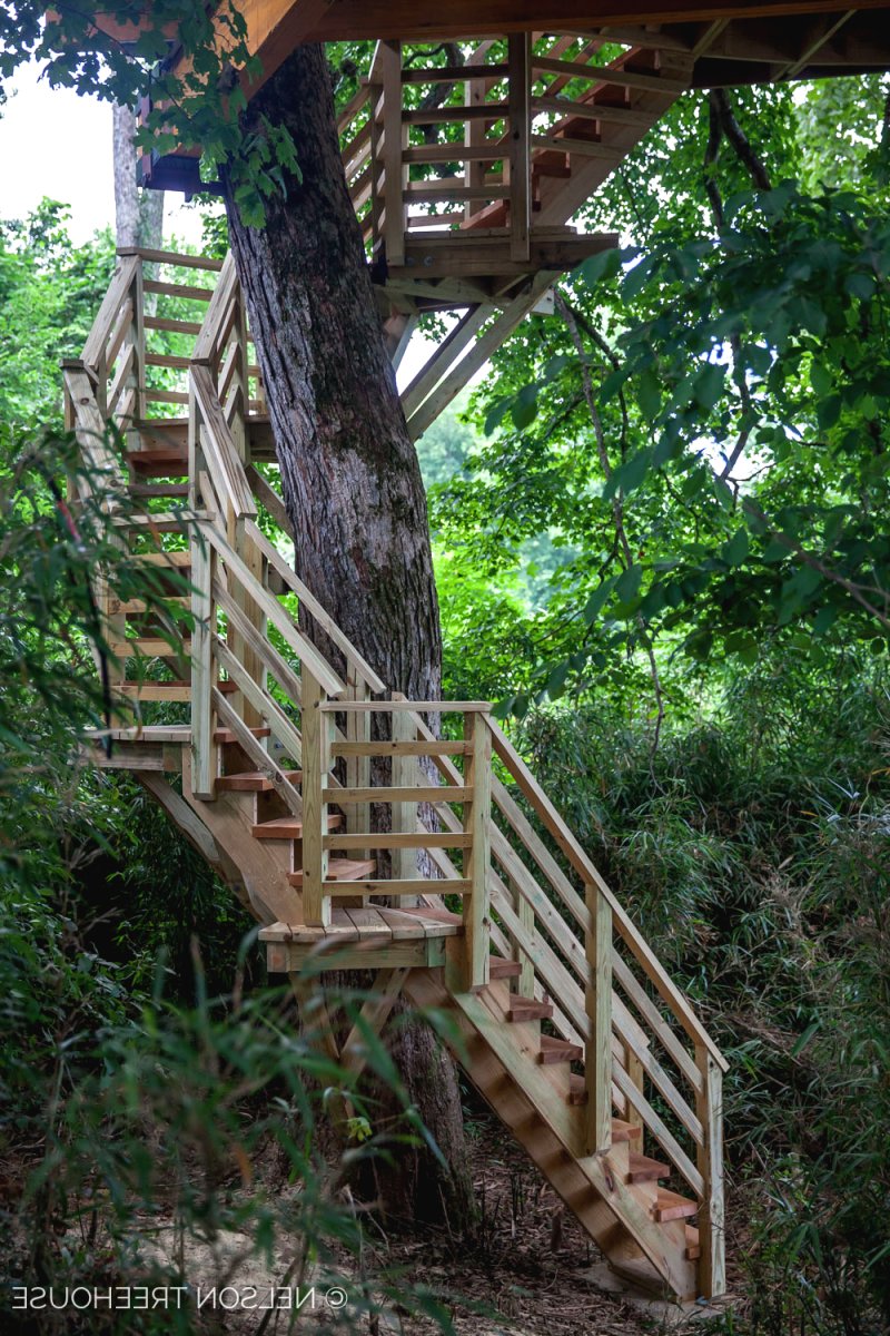 Домик на дереве - фото 10
