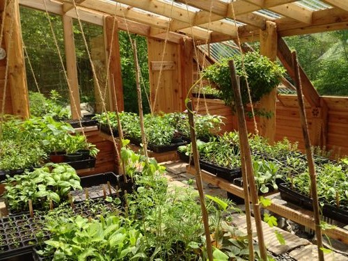 Парник на склоне - фото 11