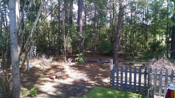 Дом за забором - фото 2