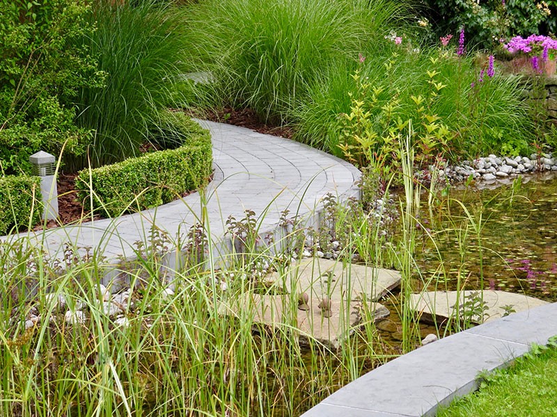 Естественный пруд - фото 9