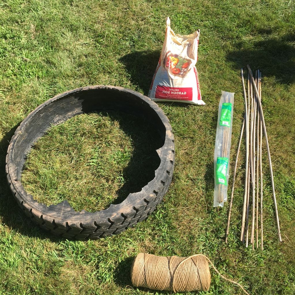 Выращиваем горох в автопокрышках - фото 2