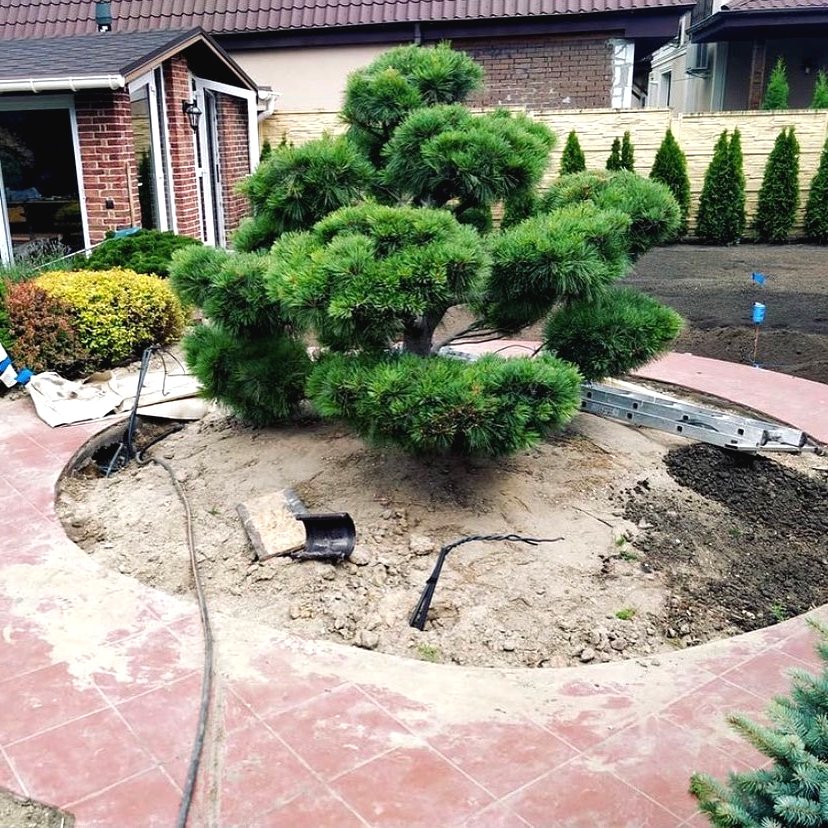 Ландшафтный дизайн небольшого сада - фото 2