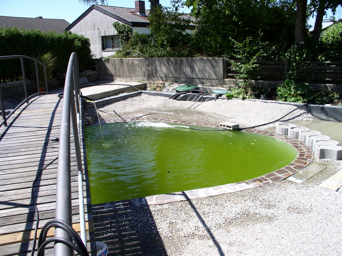 Пруд с мостом через него - фото 13